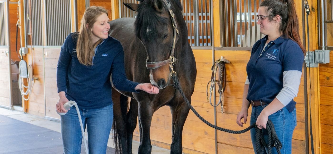 Equine preventative care makes for a happy horse