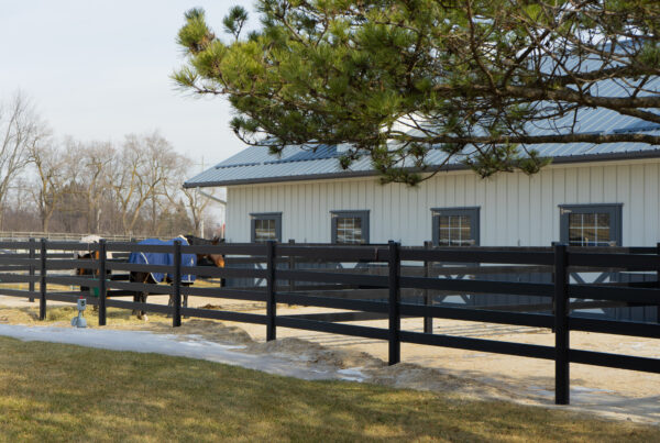 Two horses in their outdoor paddocks next to the barn