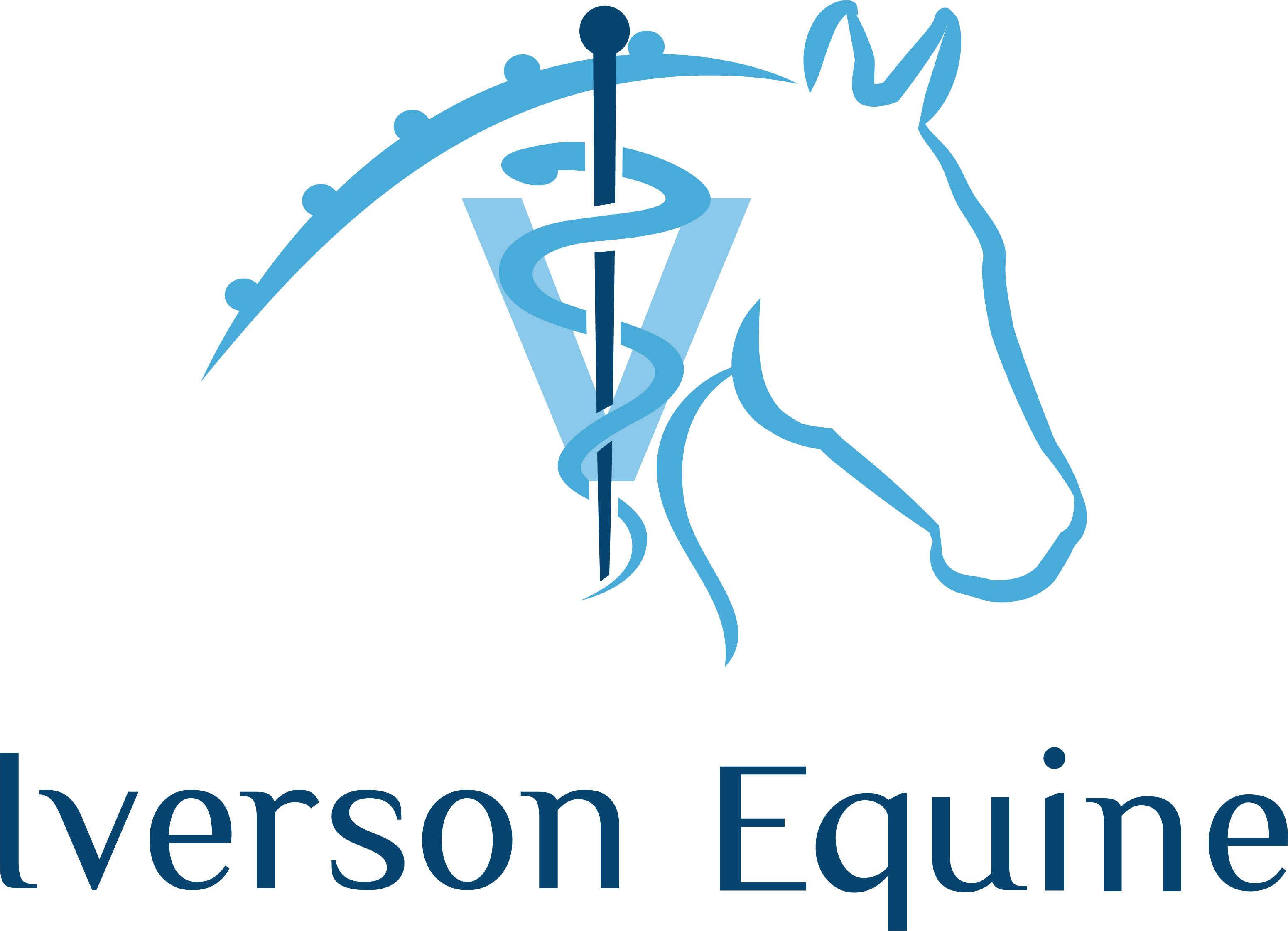 Iverson Equine Rehabilitation and Sports Medicine Services