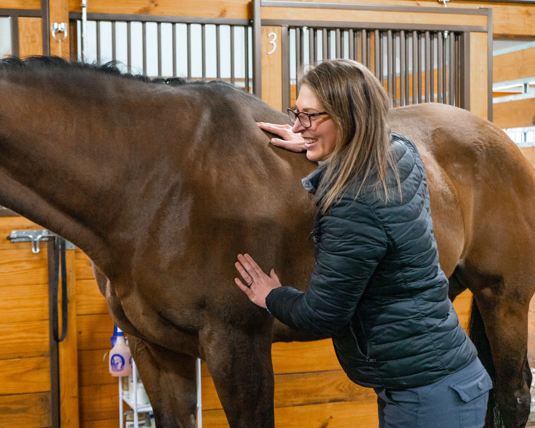 Dr. Iverson performs trigger point therapy on a horse at Iverson Equine
